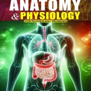 Neuron Anatomy and Physiology for Nurses And Midwives